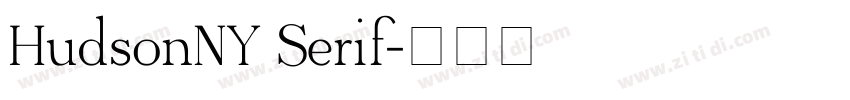 HudsonNY Serif字体转换